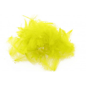 Swiss CDC Standard - Yellow 11