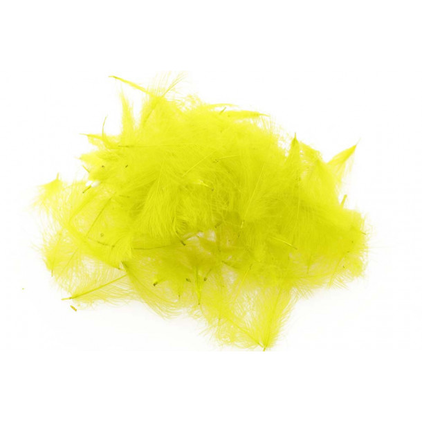 Swiss CDC Standard - Yellow 11