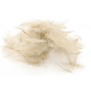 Swiss CDC Super Select - Pale Pardo 18