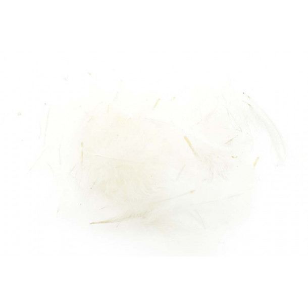 Swiss CDC Ultra Select XL - White 1