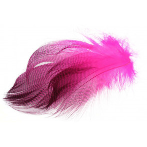 Teal Flank Feather - Fl. Pink