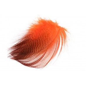 Teal Flank Feathers - Orange