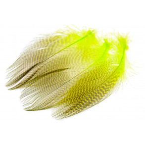 Teal Flank Fjer - Flourescent Green