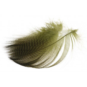 Teal Flank Fjer - Olive