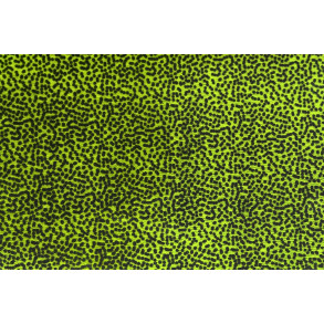 Thin Skin Fly Specks - Olive