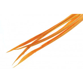 Turkey biots - Amber