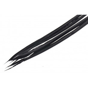 Turkey biots - Black