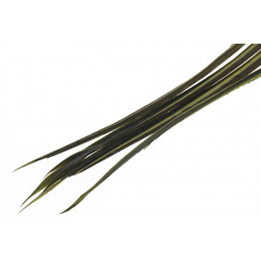 Turkey biots - Blue WInged Olive