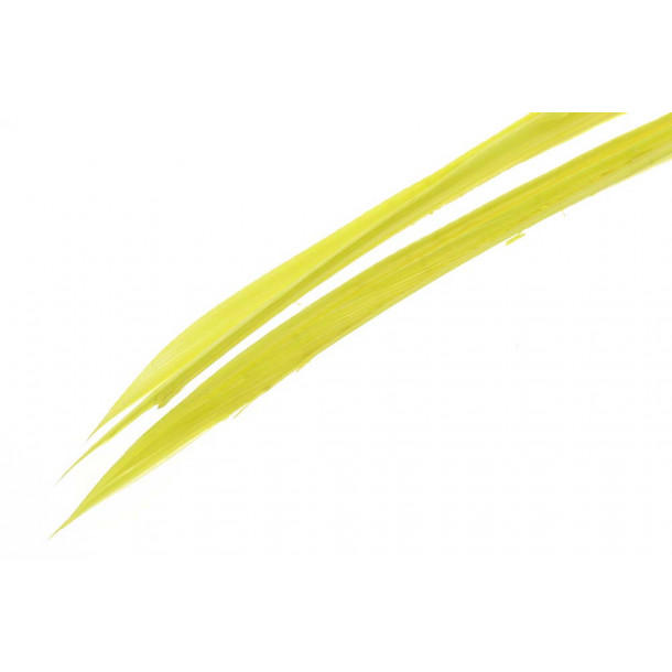 Turkey biots - Green Drake