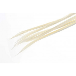 Turkey biots - light Cahill