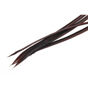 Turkey biots - Mahogany Brown