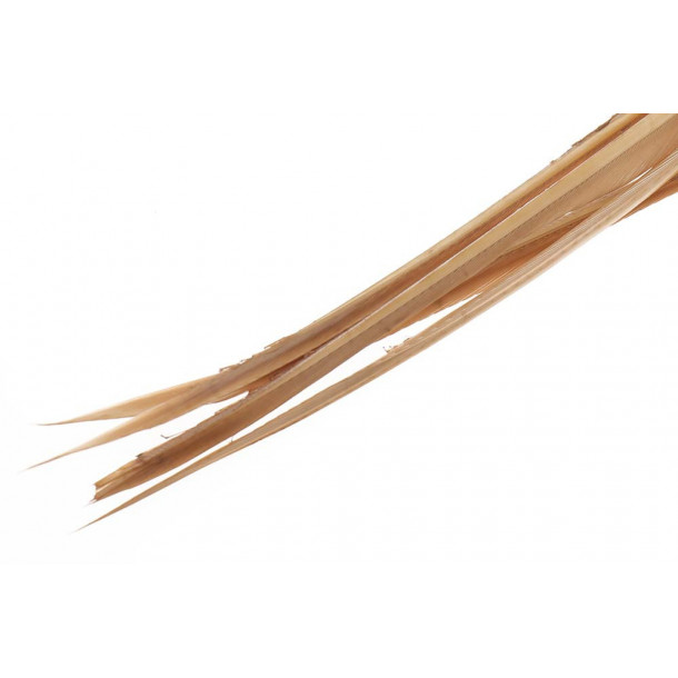 Turkey biots - Tan