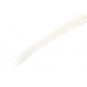 Turkey biots - White