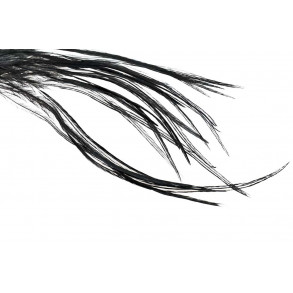 Whiting 100 Pack - Black size 10