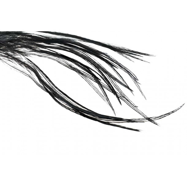Whiting 100 Pack - Black size 12