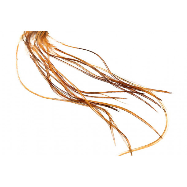 Whiting 100 Pack - Brown size 16