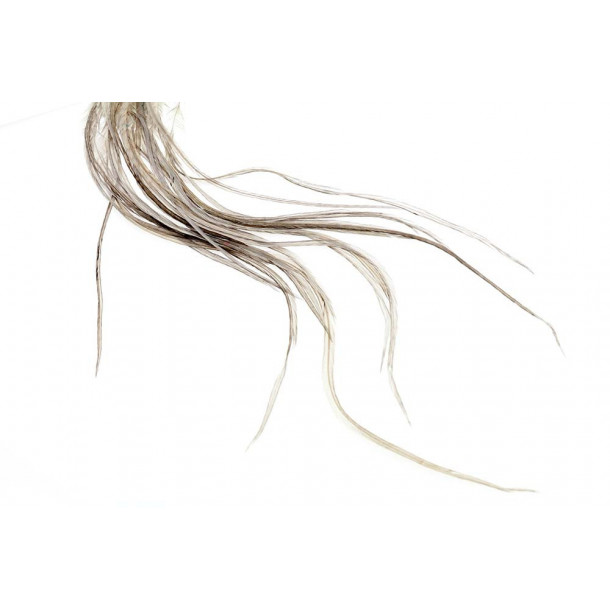 Whiting 100 Pack - Dun size 14