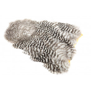 Whiting 4B Hen Soft hackle/Chicabou - Grizzly