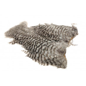 Whiting 4B Hen Soft hackle/Chicabou - Grizzly Herron Grey