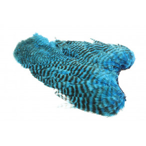 Whiting 4B Hen Soft hackle/Chicabou - Grizzly Kingfisher Blue