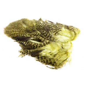 Whiting 4B Hen Soft hackle/Chicabou - Grizzly Olive