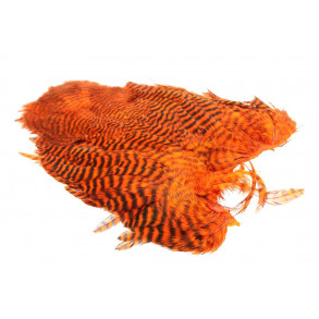 Whiting 4B Hen Soft hackle/Chicabou - Grizzly Orange