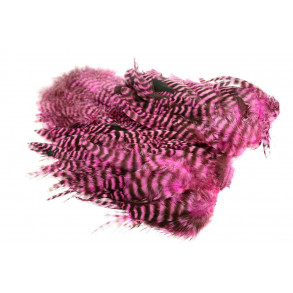Whiting 4B Hen Soft hackle/Chicabou - Grizzly Pink
