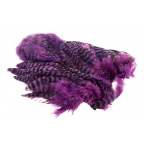 Whiting 4B Hen Soft hackle/Chicabou - Grizzly Purple