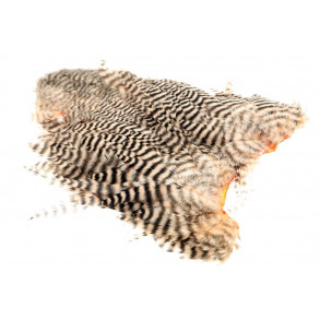 Whiting 4B Hen Soft hackle/Chicabou - Grizzly Salmon Pink