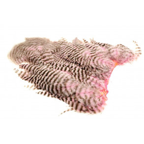 Whiting 4B Hen Soft hackle/Chicabou - Grizzly Shell Pink