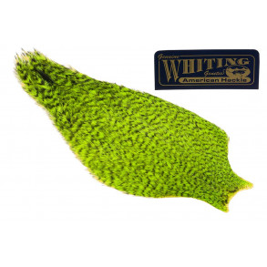 Whiting American Hen Cape - Grizzly chartreuse