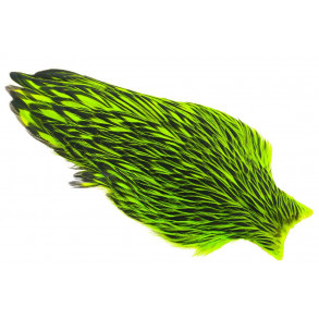 Whiting American Hen Cape Black Laced - Chartreuse