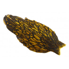 Whiting American Hen Cape Black Laced - Golden Olive