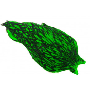 Whiting American Hen Cape Black Laced - Green Highlander