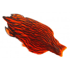 Whiting American Hen Cape Black Laced - Orange