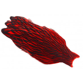 Whiting American Hen Cape Black Laced - Red