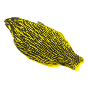 Whiting American Hen Cape Black Laced - Yellow
