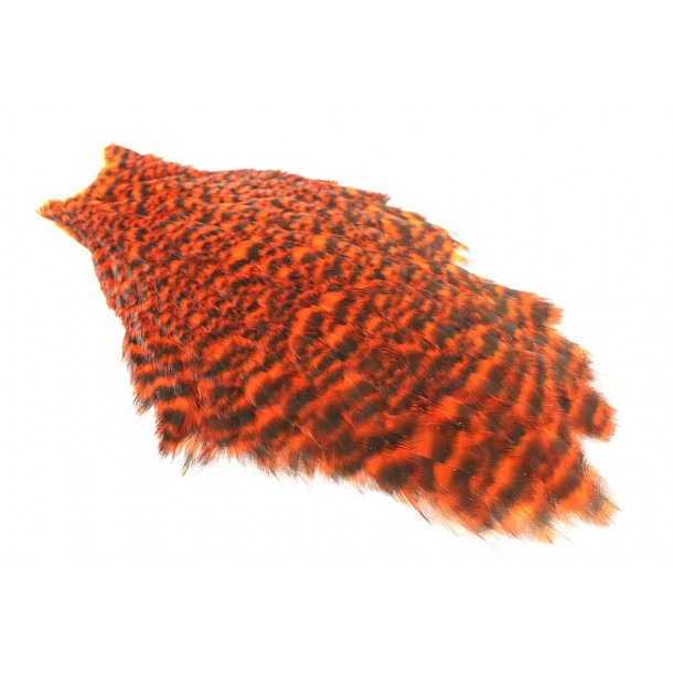 Whiting American Hen Neck - Grizzly Orange