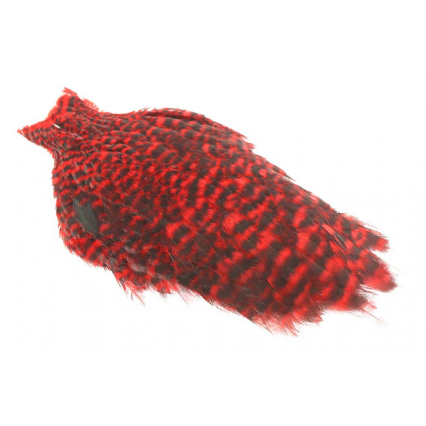 Whiting American Hen Neck - Grizzly Red