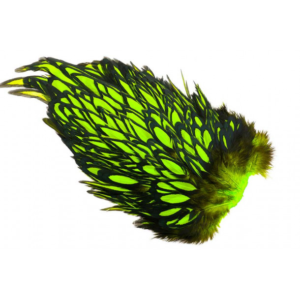 Whiting American Hen Saddle Black Laced - Fl. Green Chartreuse