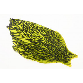 Whiting American Hen Saddle Black Laced - Fl. Yellow Chartreuse