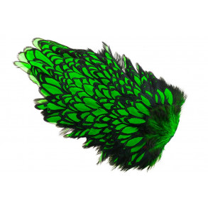 Whiting American Hen Saddle Black Laced - Green Highlander