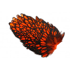 Whiting American Hen Saddle Black Laced - Orange