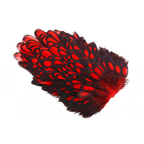 Whiting American Hen Saddle Black Laced - Red