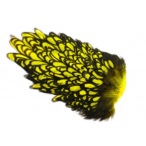 Whiting American Hen Saddle Black Laced - Yellow