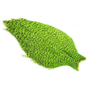 Whiting American Rooster cape - Grizzly Chartreuse