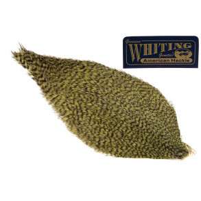 Whiting American Rooster cape - Grizzly Olive