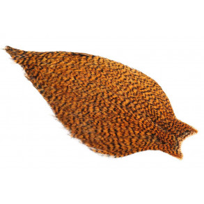 Whiting American Rooster cape - Grizzly Shrimp Orange