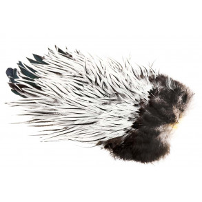 Whiting American Rooster saddle - Silver Badger