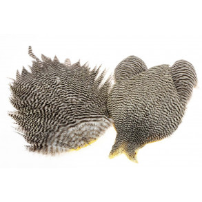 Whiting Bantam Rooster - Grizzly